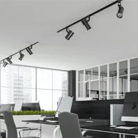 led  spotskinne